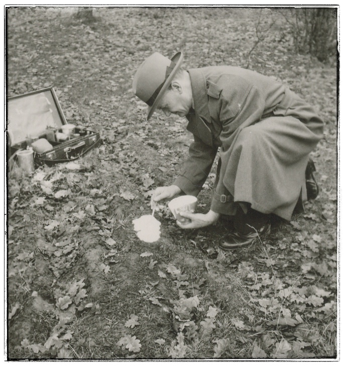 Polisväsen nyare bilder, sid. 008 , Gråark